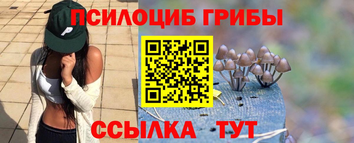 Егорьевск  Галлюциногенные грибы прущие грибы  Вход с VPN 