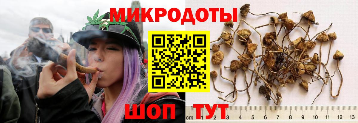 Псилоцибиновые грибы Magic Shrooms Егорьевск